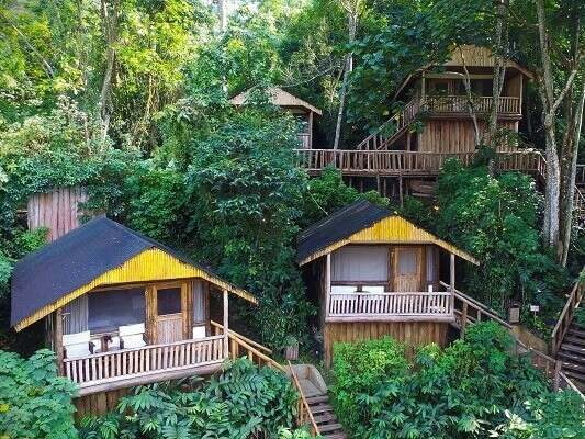 Wooden cabins nestled among lush green trees, featuring porches and connected by wooden stairways, create a serene, secluded forest retreat atmosphere.