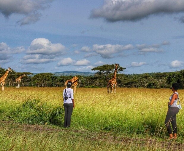 Two people stand in tall grass observing a group of giraffes grazing in a savanna landscape, under a vast sky with scattered clouds, and distant hills in the background.
