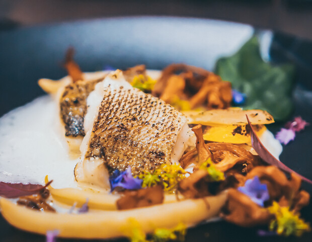 Grilled fish fillet garnished with edible flowers and mushrooms rests on a dark plate. Creamy sauce and vegetable strips add color, creating an elegant, gourmet presentation in a dining setting.
