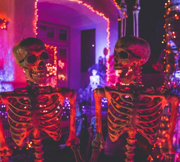 Two skeletons stand illuminated by orange and purple lights in a festive Halloween setting, surrounded by glowing decorations and other skeleton figures in the background.