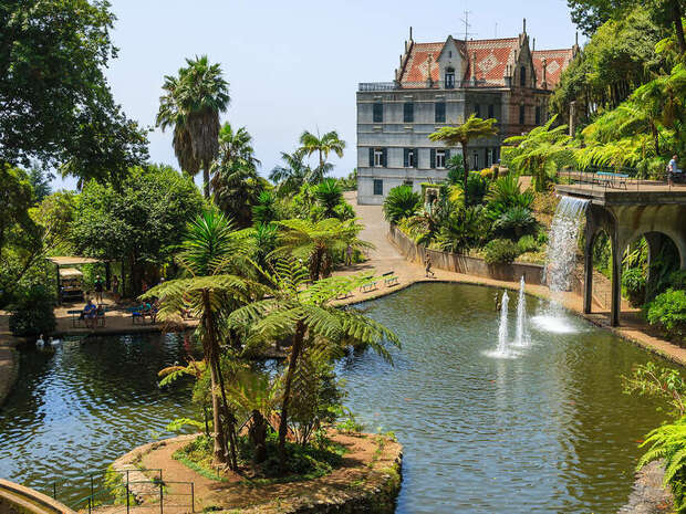 A grand building overlooks a lush garden with palm trees and a pond. Water cascades from a ledge, while fountains create gentle splashes within the serene, green landscape.
