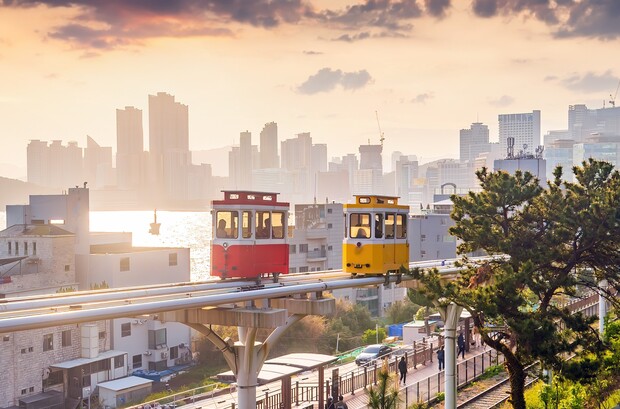 Two colorful trams travel along an elevated track above city rooftops, with a backdrop of a glowing sunset and distant skyscrapers. A lush tree frames the scene on the right.