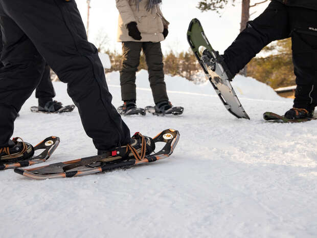People wear snowshoes, walking on a snowy surface. They are dressed in winter clothing, surrounded by a landscape with trees, suggesting an outdoor winter activity or hike.