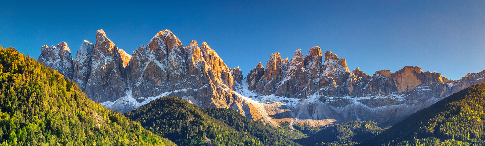 Snow-capped mountains stand majestically, illuminated by sunlight, above a lush green forest under a clear blue sky, creating a serene, picturesque landscape.