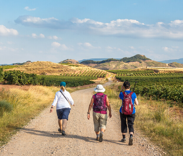 Three people walk along a dirt path surrounded by vineyards and fields, with rolling hills and a blue sky in the background.