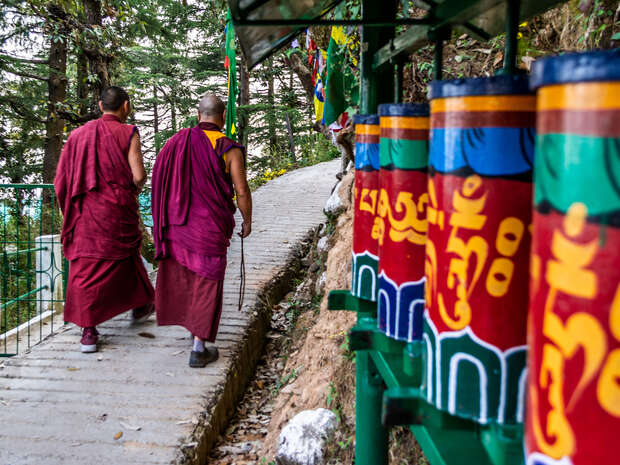 Monks walk along a stone path beside colorful prayer wheels in a forested area, featuring tall trees and scattered prayer flags.