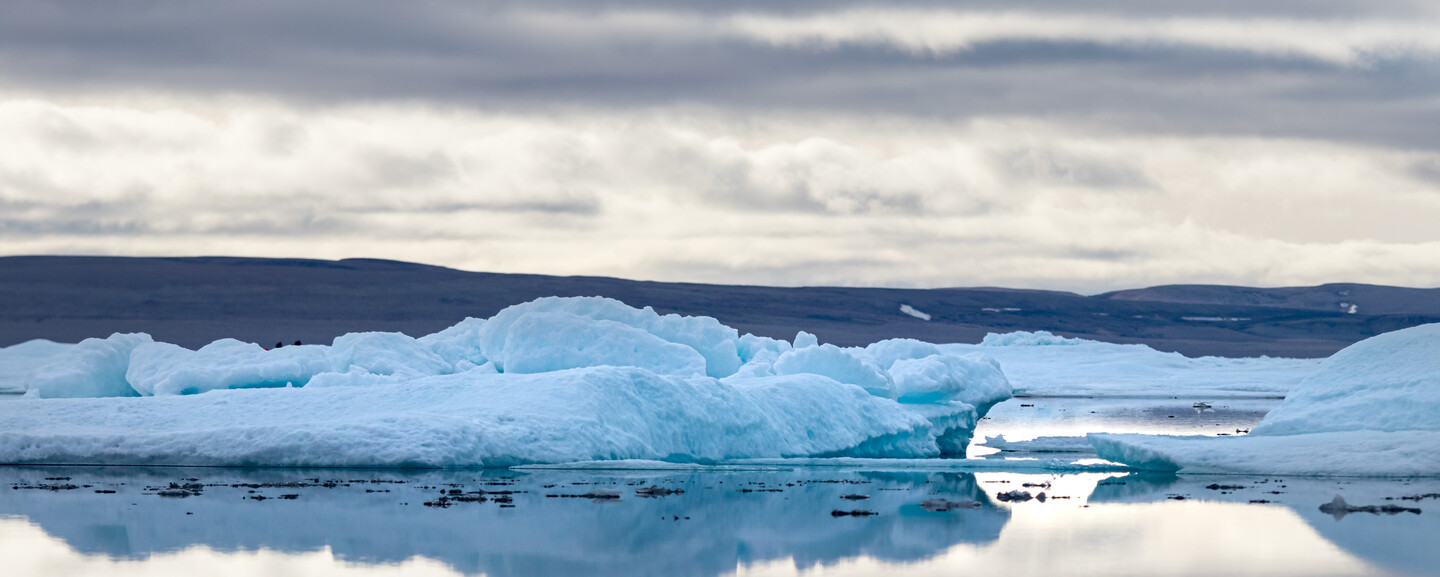 Large icebergs float in calm, reflective water under a cloudy sky, with distant dark hills visible on the horizon, creating a serene arctic landscape.