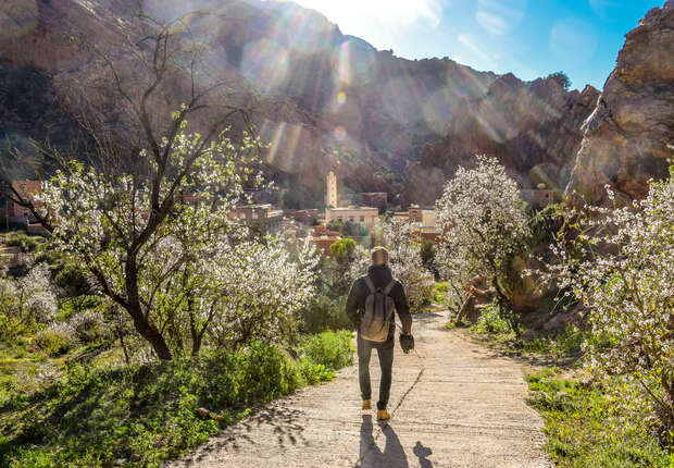 A person walks down a sunlit path, bordered by blooming trees, toward a distant village nestled in a mountainous valley. Sunlight creates lens flares, enhancing the vibrant scene.
