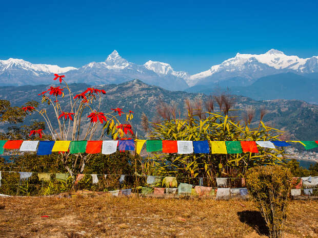 Colorful prayer flags flutter in the foreground, beneath red and green plants. Snow-capped mountains tower in the distance under a clear blue sky, creating a serene and majestic landscape.