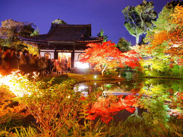 A traditional building stands illuminated beside a pond, reflecting vibrant autumn trees. Nighttime visitors wander through the serene garden setting, creating a peaceful and picturesque scene.