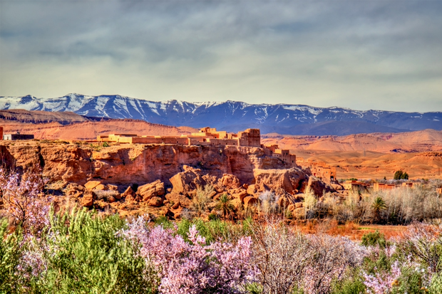 Ancient fortress sits atop a rocky hill, surrounded by desert landscape. Snow-capped mountains form the distant backdrop, while colorful blooming trees add contrast to the foreground.