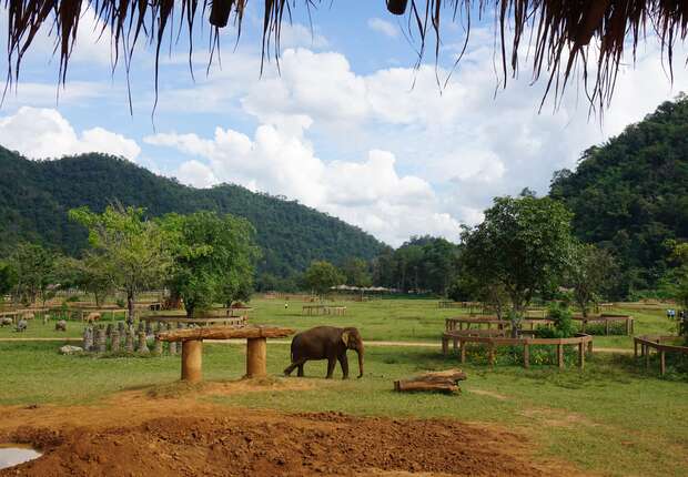 An elephant stands in a grassy area with wooden structures, surrounded by lush trees and distant hills under a partly cloudy sky. Thatched roofing is visible at the top.