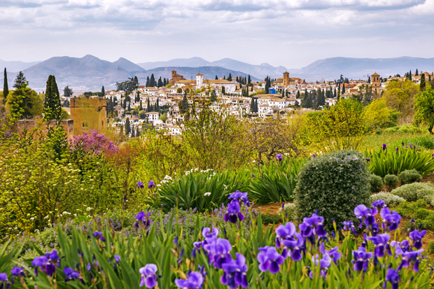 Purple flowers bloom in the foreground of a lush garden, overlooking a distant historical town with white buildings. Majestic mountains rise in the background under a partly cloudy sky.