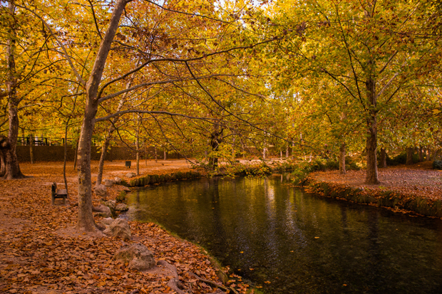 A calm pond reflects autumn trees, their leaves creating a golden canopy. Fallen leaves blanket the surrounding ground, and a park bench sits nearby, enhancing the tranquil, natural setting.