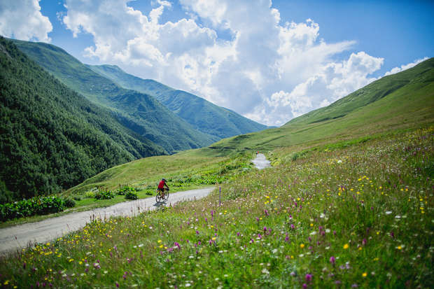 A cyclist rides on a winding road through a lush, mountainous landscape, surrounded by vibrant wildflowers and under a bright blue sky with scattered clouds.