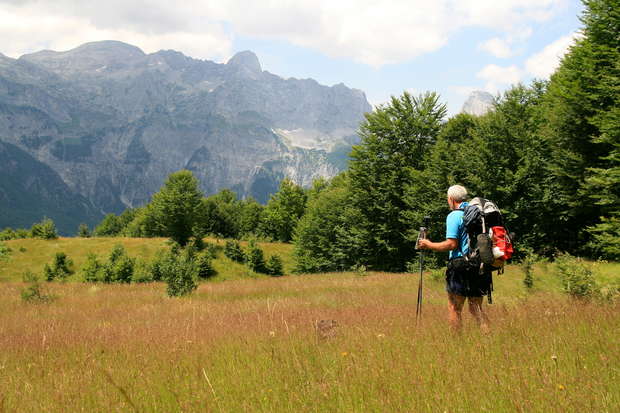 A hiker stands with trekking poles and a backpack in a grassy meadow, surrounded by lush trees, gazing towards distant, towering mountains under a partly cloudy sky.