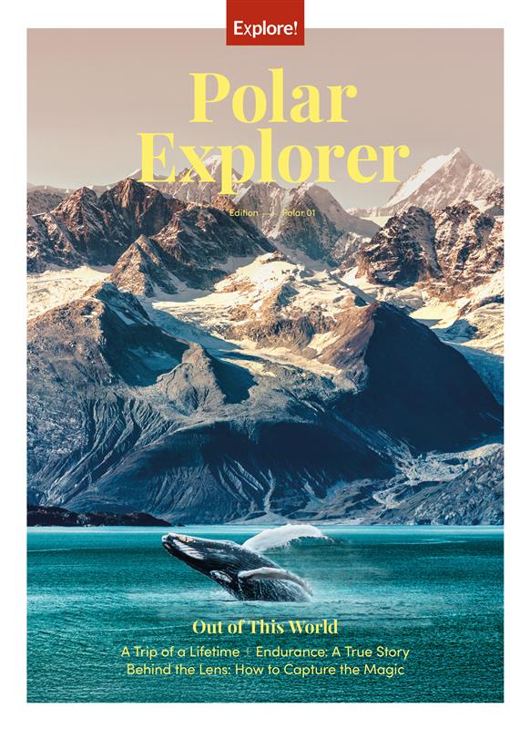 Polar brochure cover