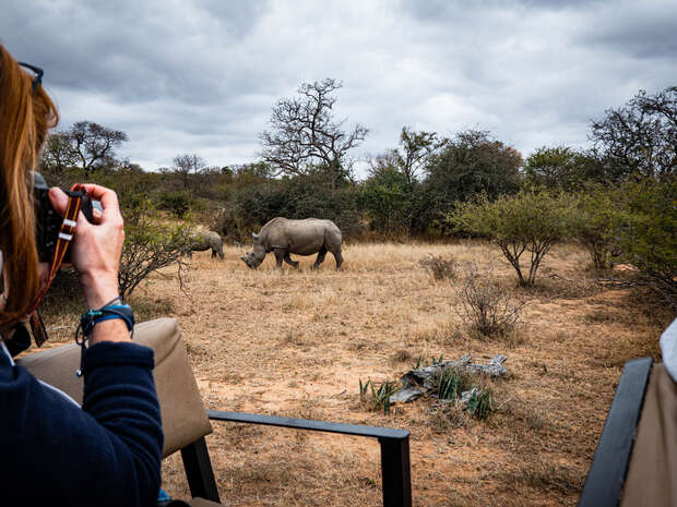 A person photographs rhinos grazing in a dry, grassy landscape with scattered trees, seen from an open vehicle on a cloudy day.