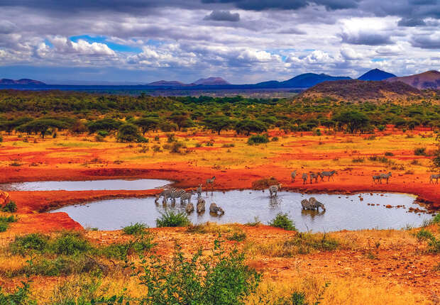 Waterhole in Tsavo National Park