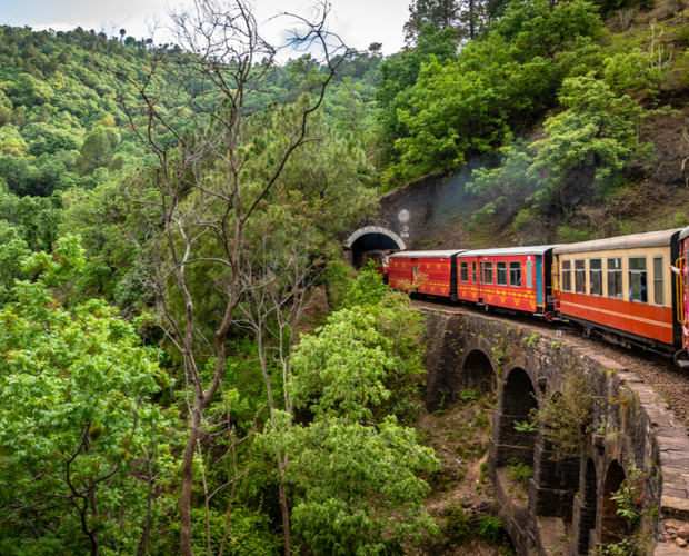 A vibrant train travels across a stone bridge and enters a tunnel, surrounded by lush, green forested hills.