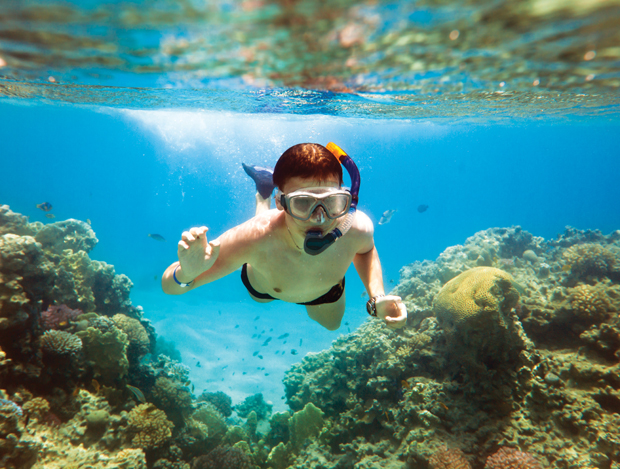 A snorkeler swims underwater, equipped with a mask and snorkel, exploring vibrant coral reefs in a clear, sunlit ocean filled with small fish.