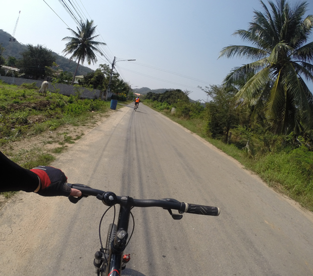 A bicycle handlebar is held by a gloved hand while riding on a paved road. Another cyclist in an orange shirt rides ahead. Palm trees line the sides under a clear blue sky.