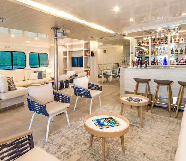 A modern lounge features comfortable seating and a well-stocked bar with stools. Tables hold magazines, and large windows overlook greenery, creating a cozy atmosphere.