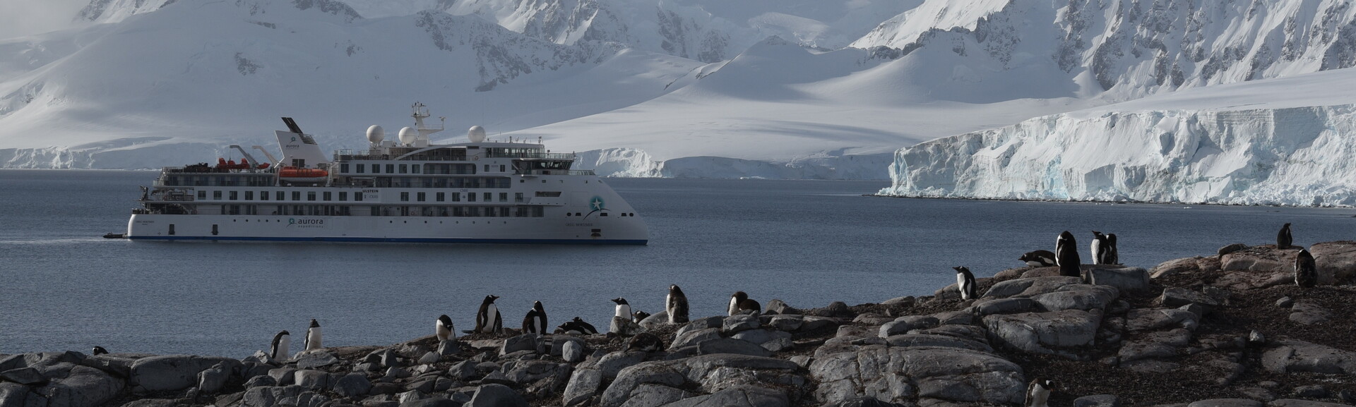 A cruise ship labeled "Aurora Expeditions" sails on icy waters near a rocky shore, where several penguins stand. Snow-covered mountains form the backdrop.
