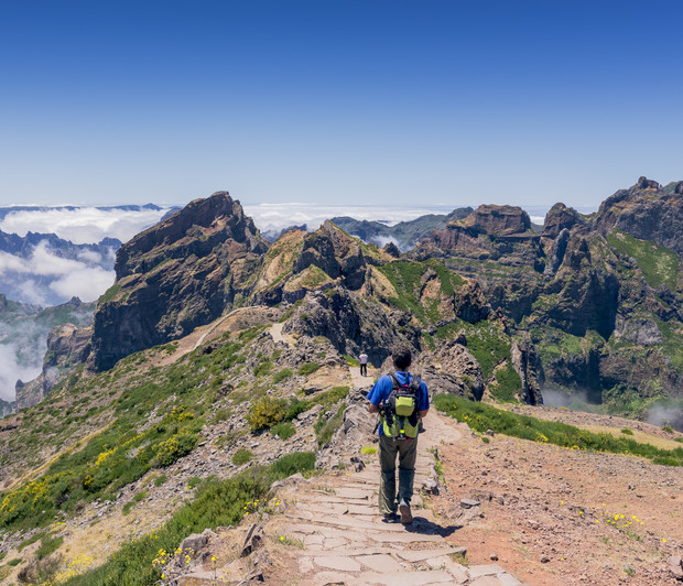 A person hikes along a rocky, mountainous trail surrounded by lush greenery, with expansive views of distant peaks under a clear blue sky.
