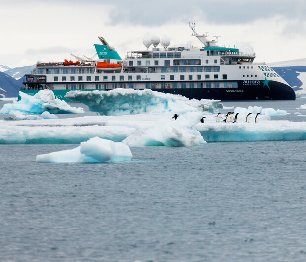 A cruise ship named "Sylvia Earle" navigates icy waters, surrounded by floating icebergs. Penguins stand atop ice in the foreground under a cloudy sky.