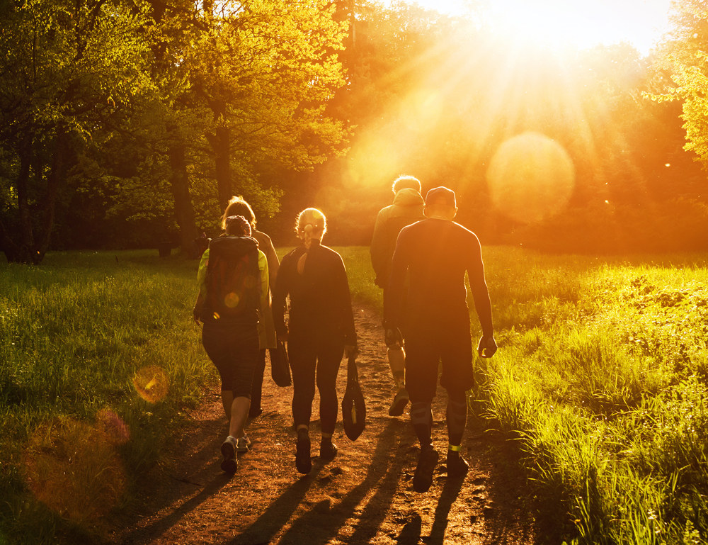 Five people dressed in outdoor attire walk along a sunlit path surrounded by lush green grass and tall trees, with the bright sun setting in the background.