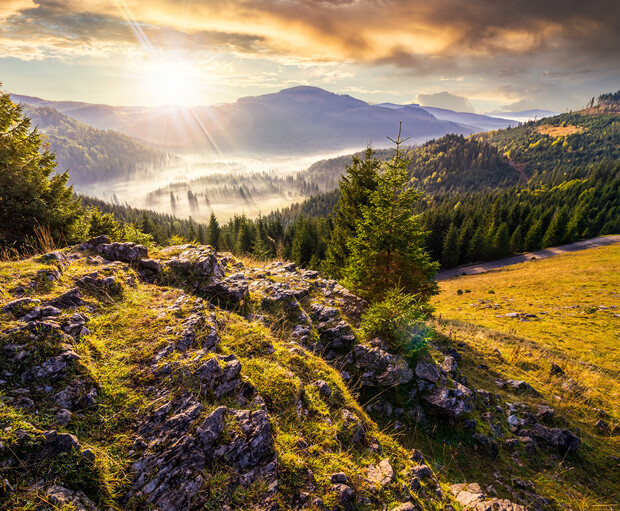 Sunlight illuminates rocky terrain with grass, overlooking a dense, fog-covered forest. Hills and mountains create a distant backdrop under a dramatic, partly cloudy sky.