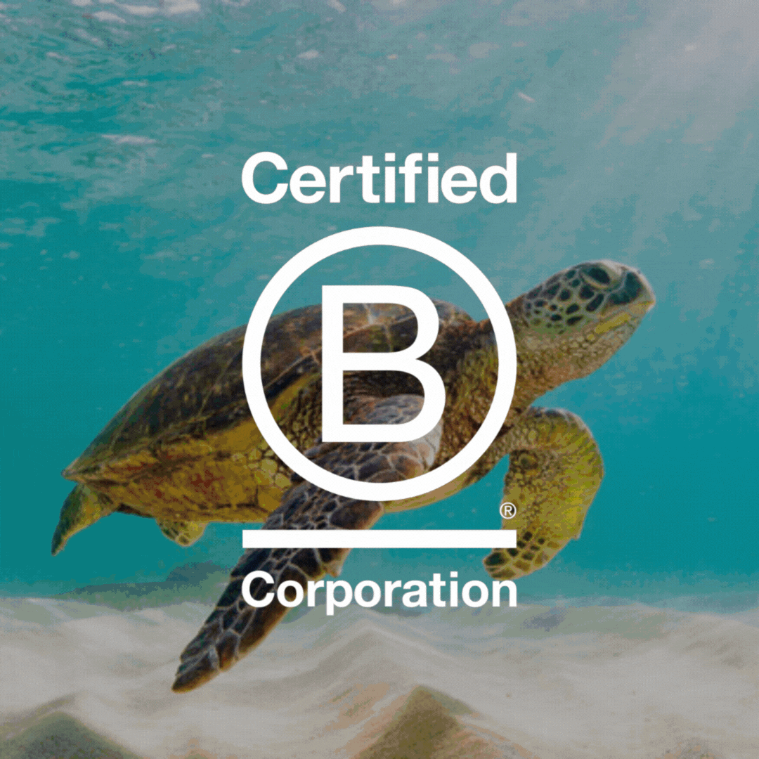 A sea turtle swims gracefully underwater near sandy ocean floor, with a "Certified B Corporation" logo overlaying the scene, highlighting eco-consciousness and certification.