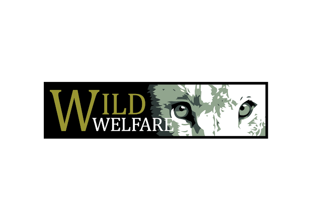 Logo features text "WILD WELFARE" beside a stylized face of a wolf. The wolf's eyes are prominent, set against a black and white background.