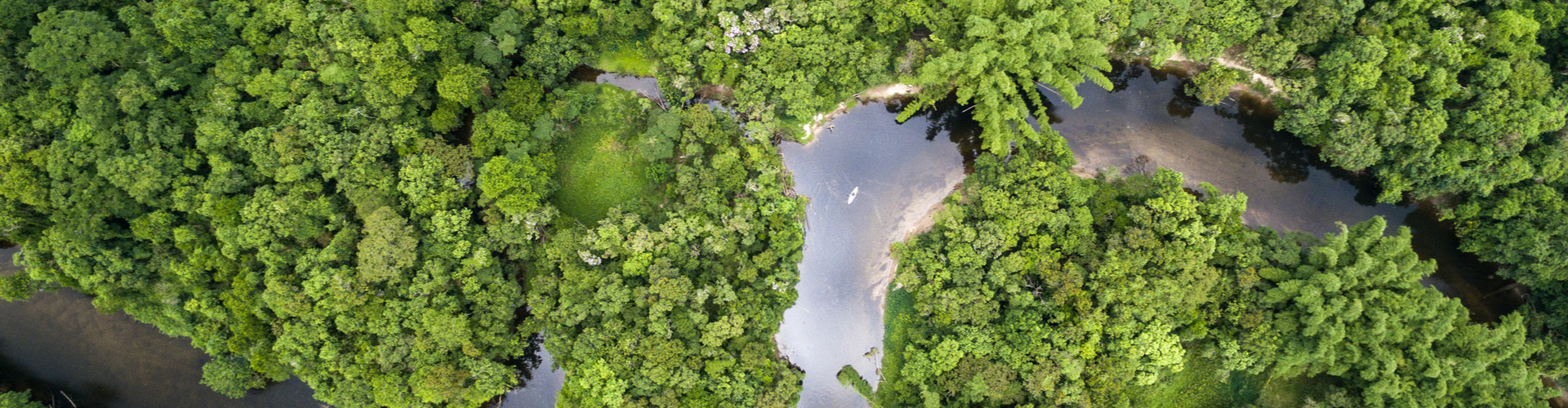 A narrow river gently winds through a dense green forest, with lush trees surrounding it. A small boat is visible on the river, highlighting the serene, untouched nature of the landscape.