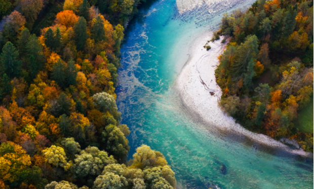 A vibrant river flows through a forest, bordered by trees with green, yellow, and orange foliage. A sandy bank curves alongside, enhancing the autumnal landscape's vivid colors.