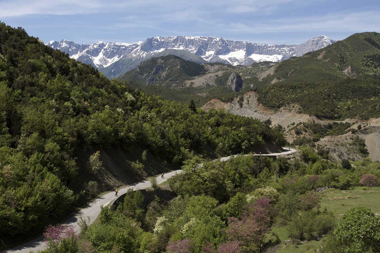 A winding road with cyclists passes through dense green forests, set against the backdrop of snow-capped mountains under a clear blue sky.