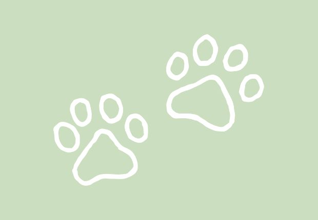 Two white paw prints appear on a light green background, creating a simple and playful pattern.