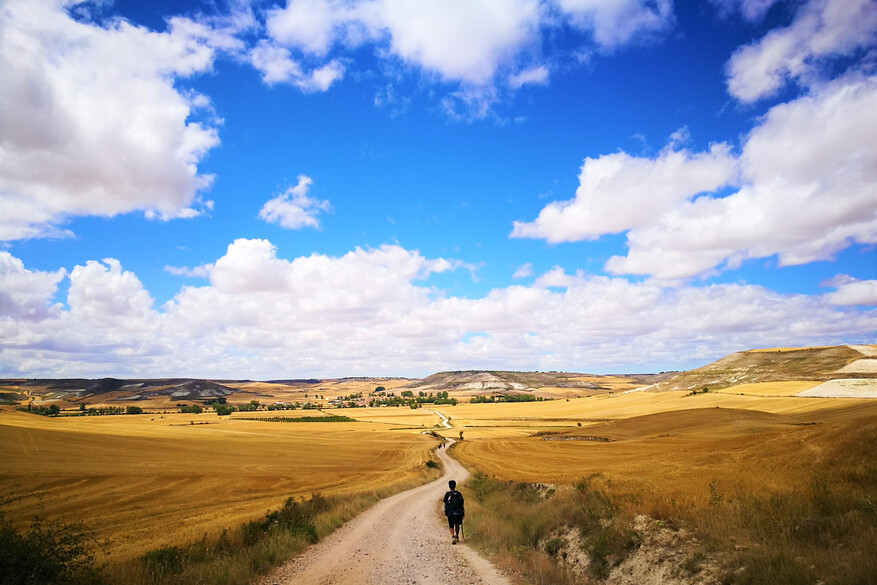 Walking through Galician fields
