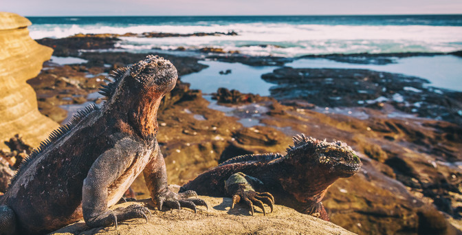 Tour to Ecuador The Galapagos Islands Explore Worldwide