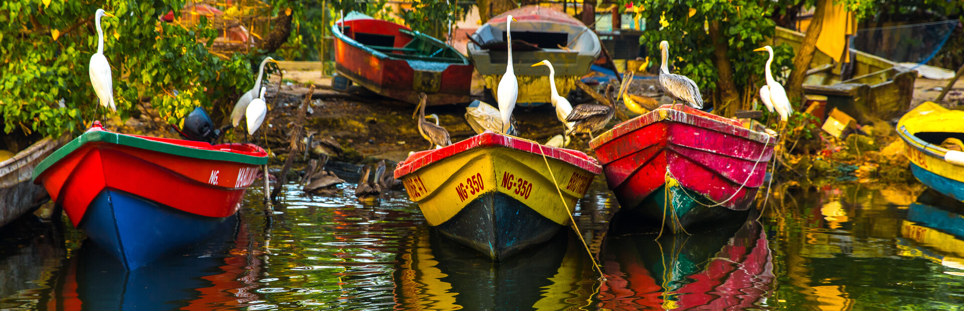 Jamaica Guided Holiday With Forest Walks \u0026 Beaches - Explore Worldwide, image size:1920x620