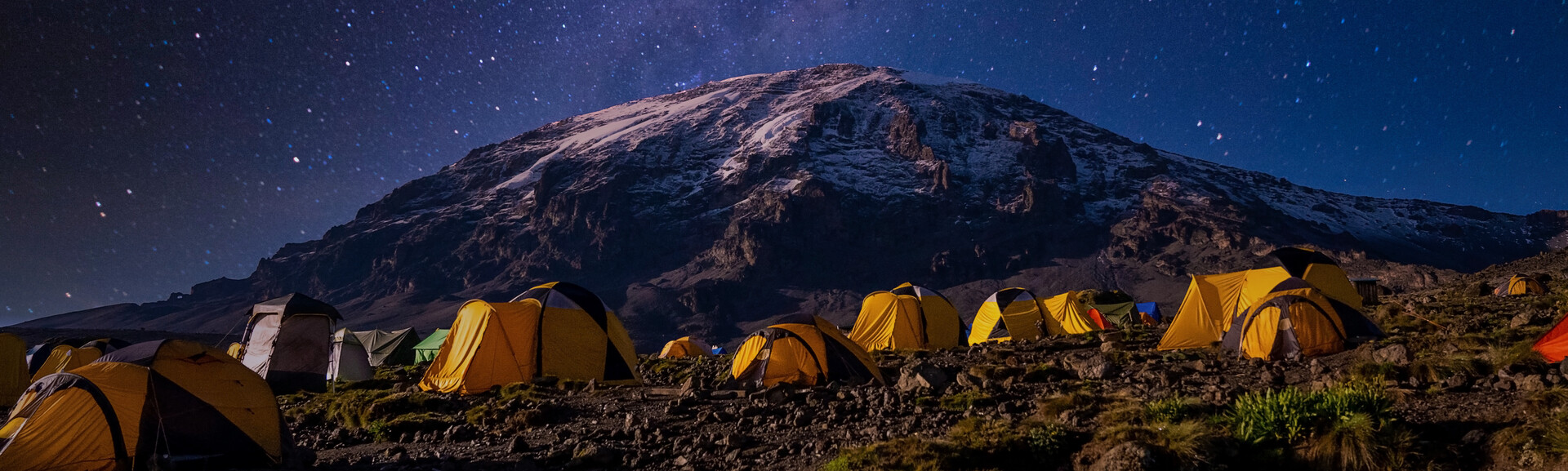 Yellow Star Lollipops - Peach Flavor (24 Pieces) – Sparko Sweets, image size:1920x577