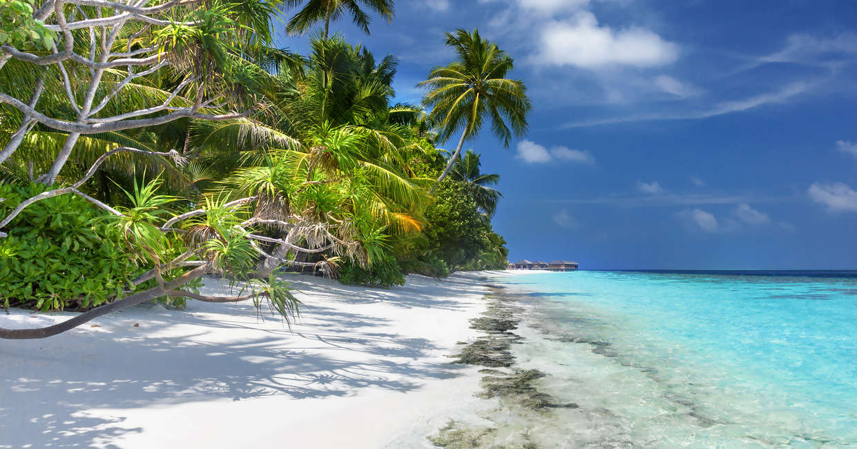 Golden Triangle Tour India Explore Worldwide