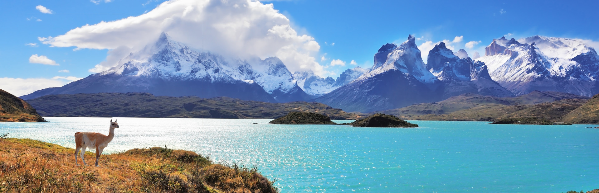 Discoveries Argentina: Patagonia [DVD]
