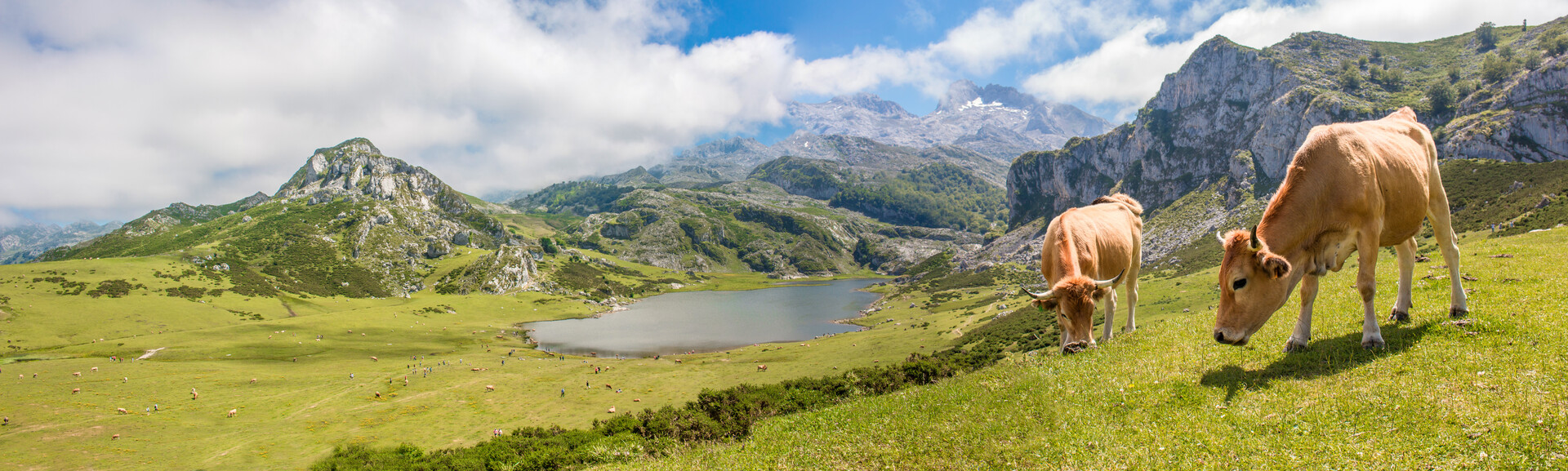Trekking in the Picos de Europa Holidays Explore Worldwide