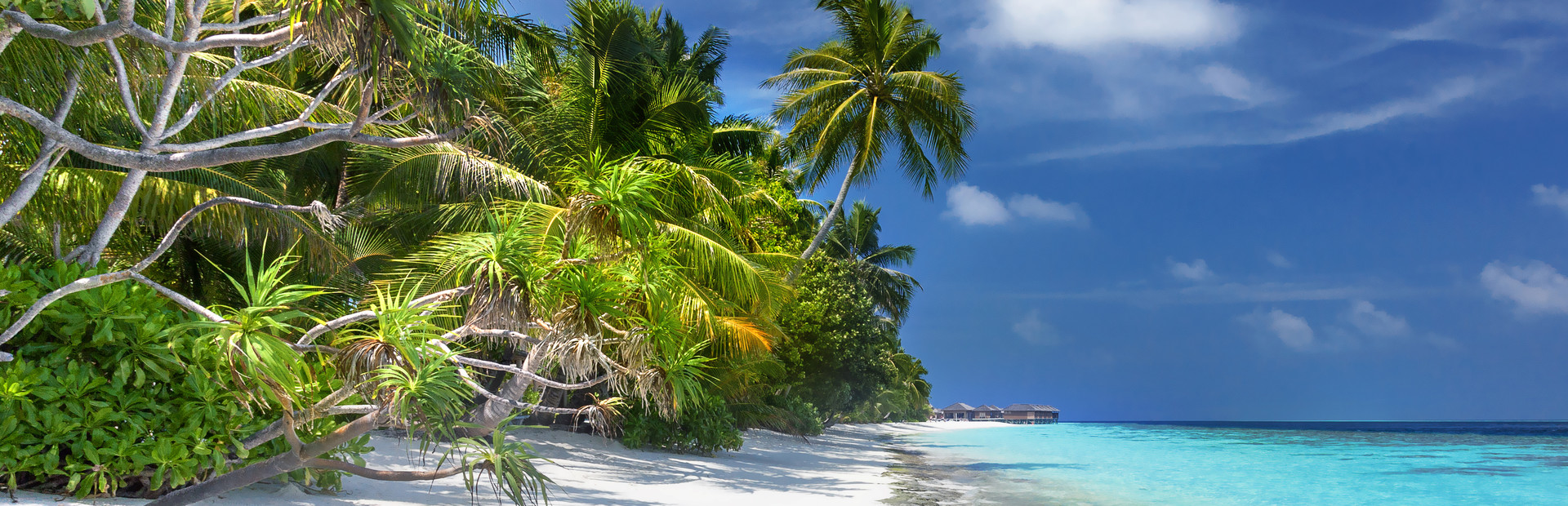 Highlights Of Sri Lanka Cruising The Maldives Explore