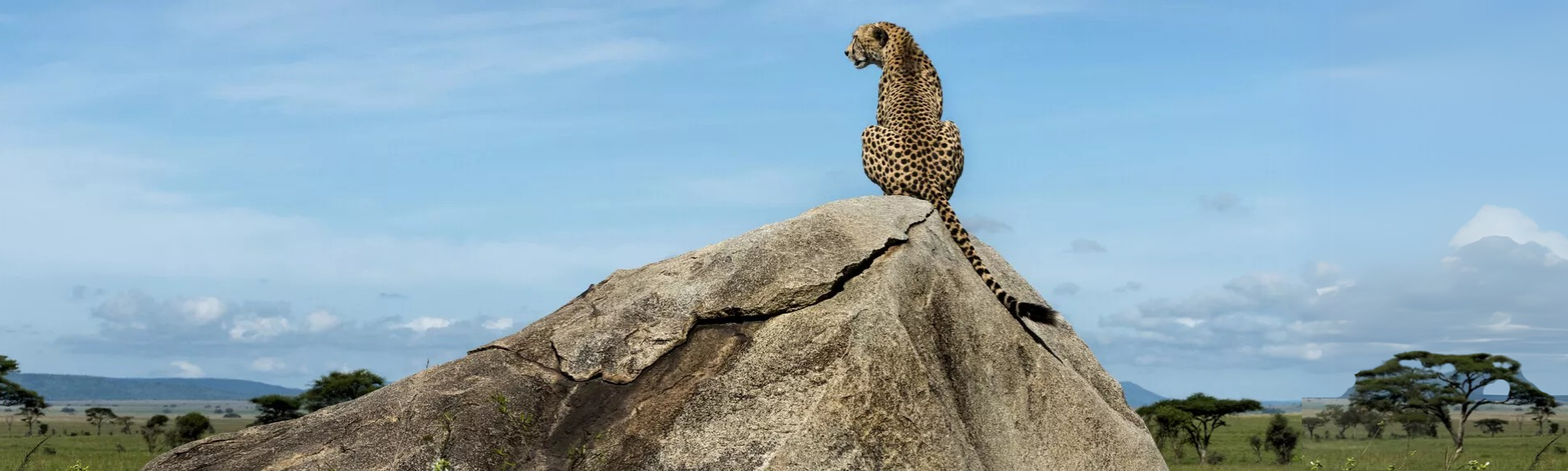 Serengeti Lodge Safari Serengeti Wildlife Tour Explore Worldwide