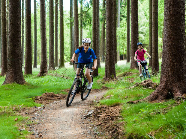 Two cyclists wearing helmets ride along a narrow dirt path. Tall trees surround them in a lush, green forest setting.