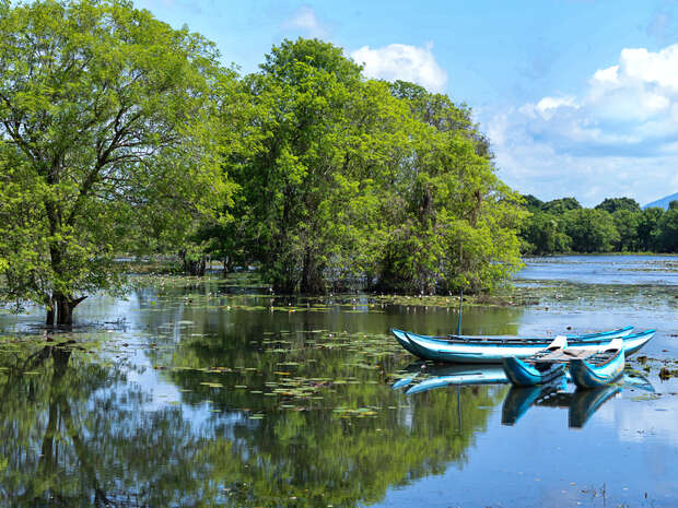 Two blue canoes rest on calm, reflective water surrounded by lush green trees and scattered lily pads under a clear blue sky.