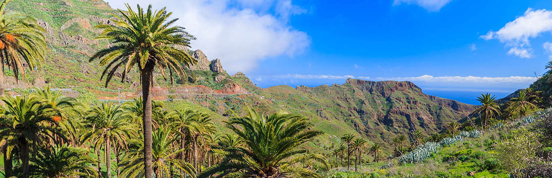 Canary Islands Walking Holiday Explore Worldwide